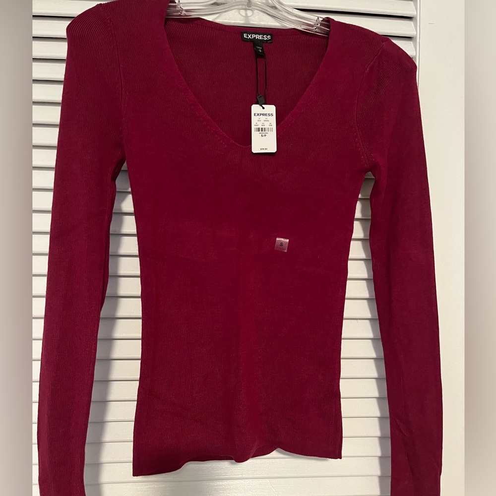 Express long sleeve sweater